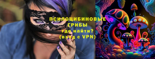 винт Белокуриха