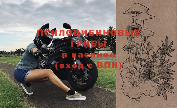 винт Белокуриха