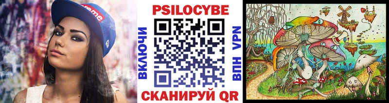 закладки  Обь  Галлюциногенные грибы мицелий 